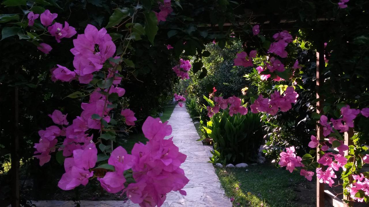 Hotel Yavuz Bungalow Çıralı Extérieur photo